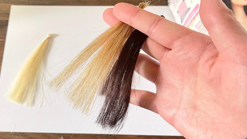 金毛束をビューティーラボホイップヘアカラー髪色戻しナチュラルブラウンで染めた実際の色味